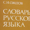 В РАН сообщили о скором появлении в русском языке нового союза
